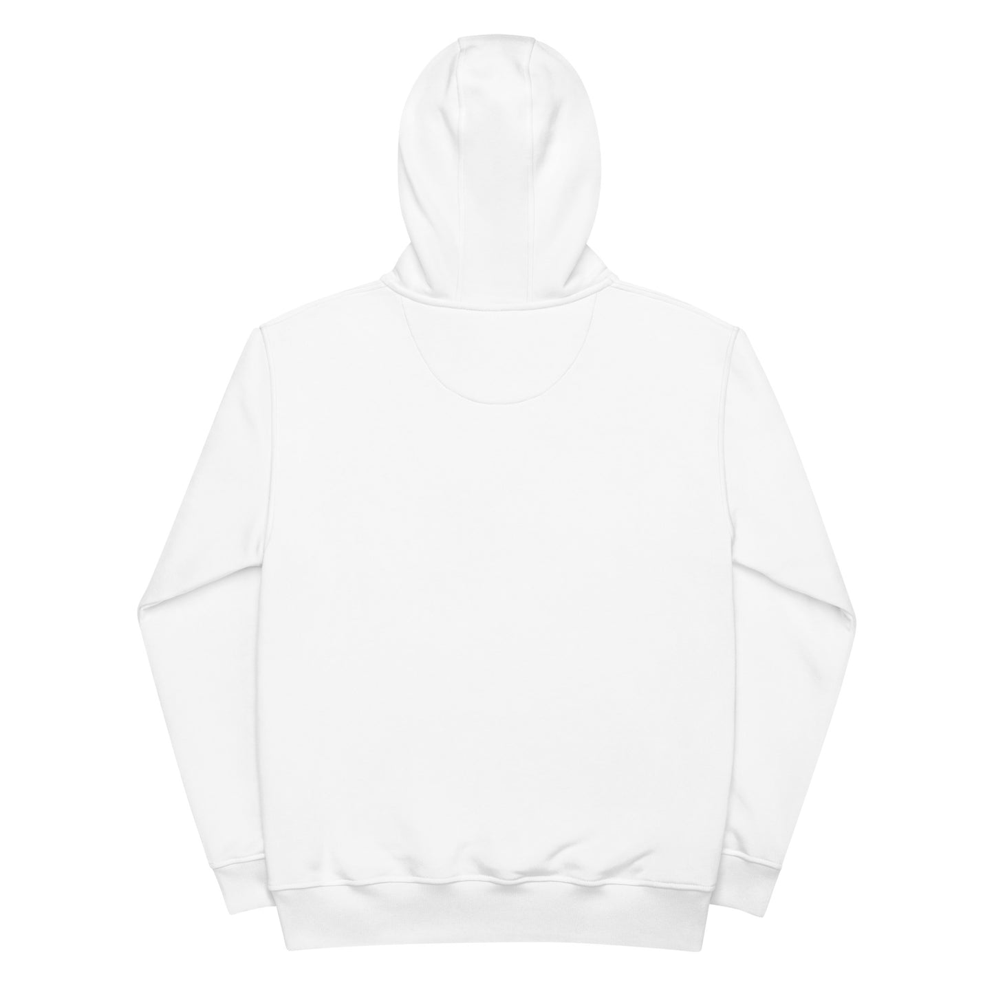 RS 2027 Premium eco hoodie